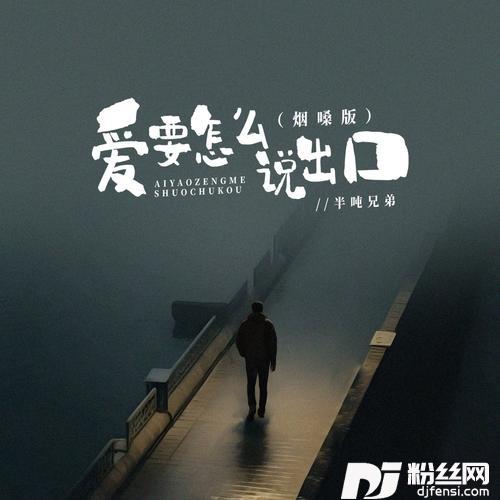 爱要怎么说出口烟嗓版的专辑图片