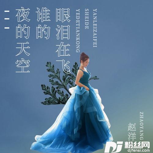 夜的天空谁的眼泪在飞的专辑