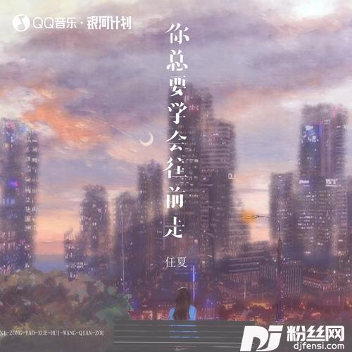 你总要学会往前走DJ豪大大版的专辑图片