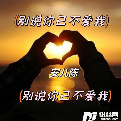 别说你已不爱我的专辑