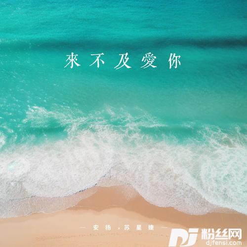 来不及爱你的专辑