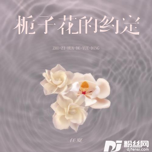 栀子花的约定的专辑图片