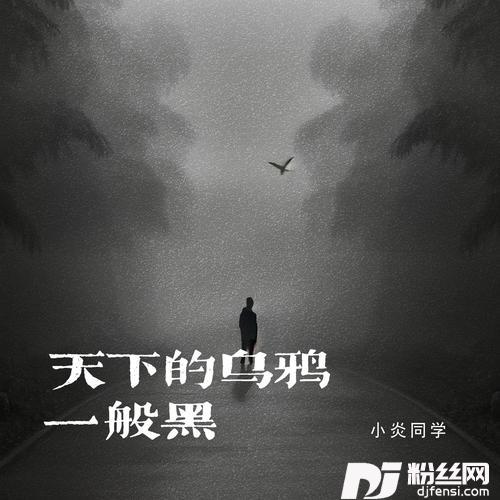 天下的乌鸦一般黑的专辑图片