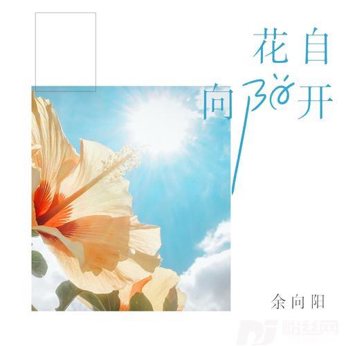 花自向阳开的专辑