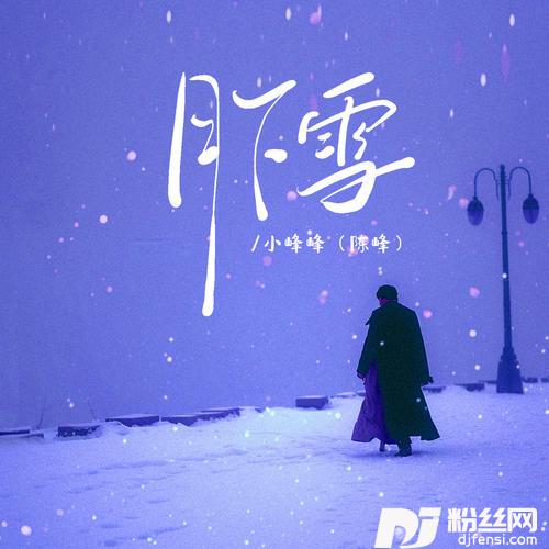 月下雪