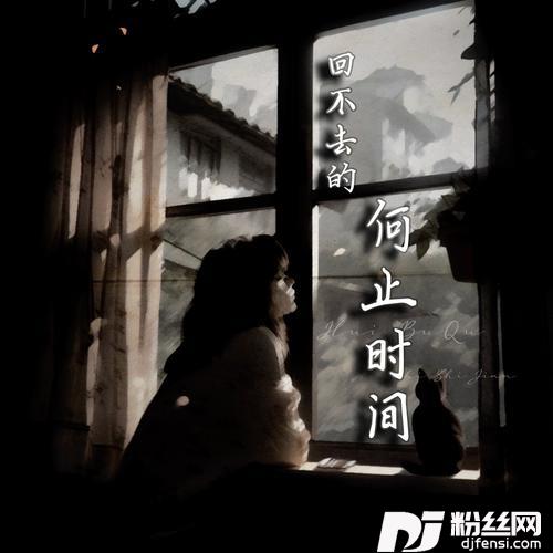 回不去的何止时间的专辑