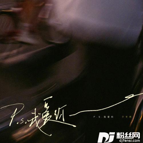 P.S.我爱你