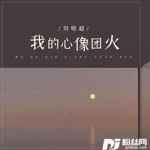 我的心像团火的专辑图片