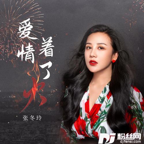 爱情着了火Remix的专辑图片