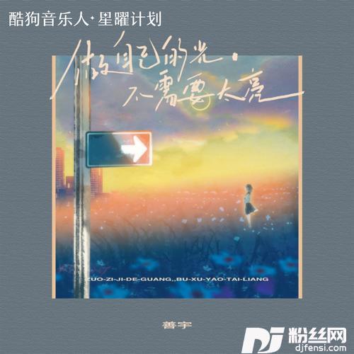 做自己的光，不需要太亮的专辑图片