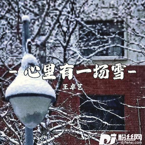 心里有一场雪的专辑