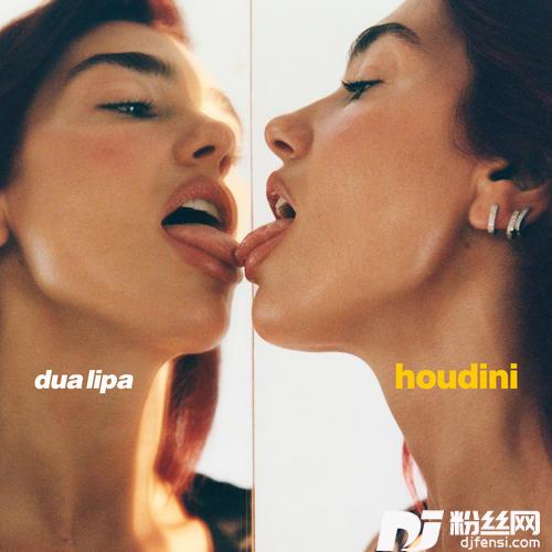 Houdini的专辑