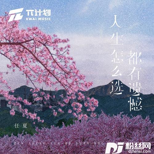 人生怎么选都有遗憾的专辑图片