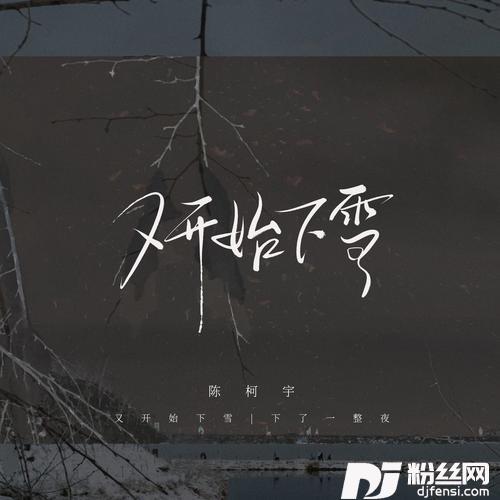 又开始下雪的专辑