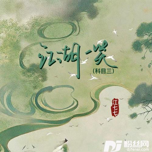 江湖一笑科目三DJ版的专辑图片