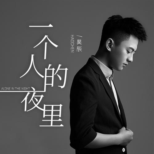 一个人的夜里的专辑