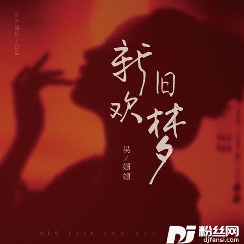 新欢旧梦（DJ沈念版）的专辑