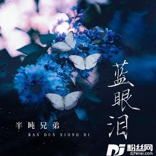 蓝眼泪的专辑