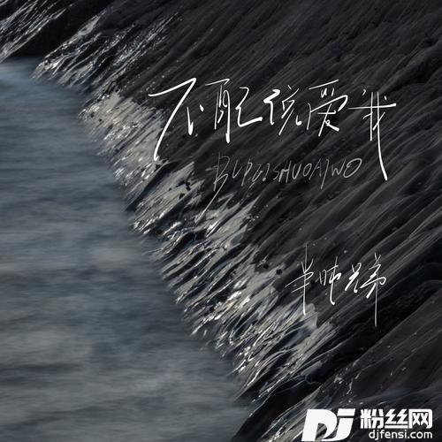 不配说爱我合唱版的专辑