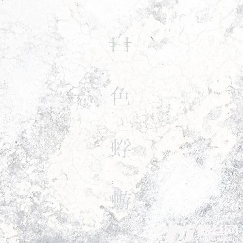 白色蜉蝣的专辑