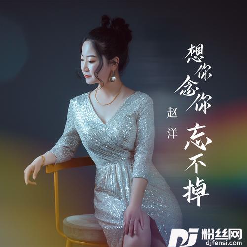 想你念你忘不掉的专辑