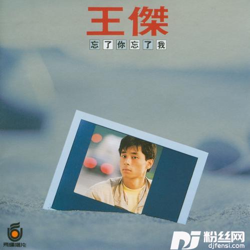 忘了你忘了我的专辑