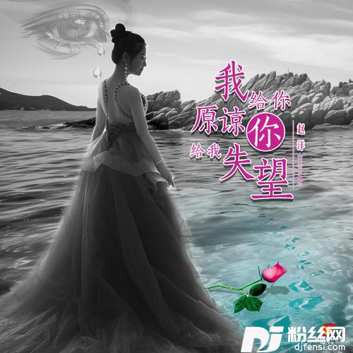 我给你原谅你给我失望Dj翊轩版的专辑图片