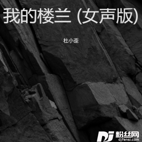 我的楼兰女声版的专辑