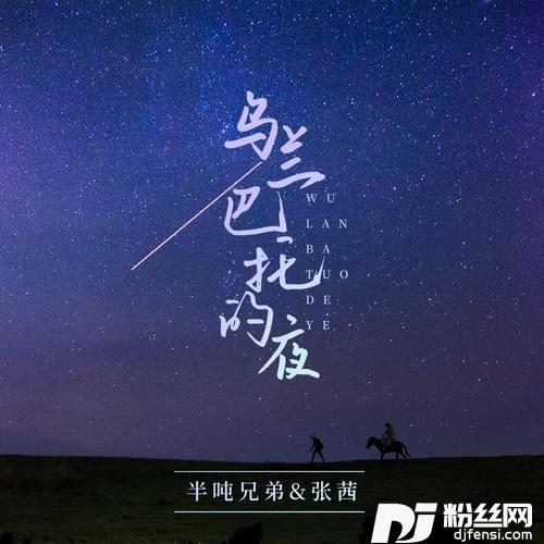 乌兰巴托的夜DJ沈念版的专辑