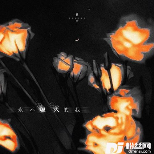 永不熄灭的我