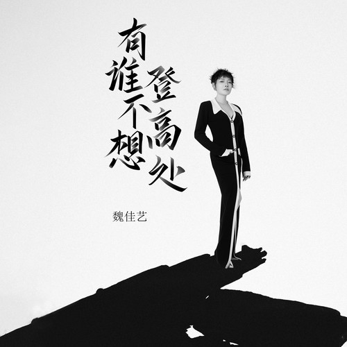 有谁不想登高处的专辑