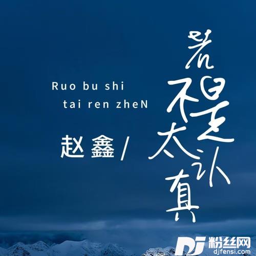 若不是太认真