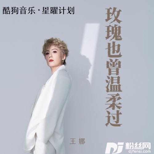 玫瑰也曾温柔过