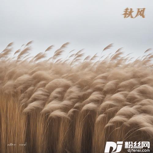 秋风的专辑