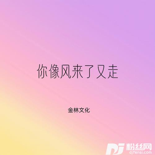 你像风来了又走的专辑