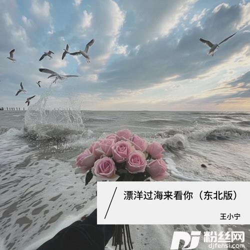 漂洋过海来看你东北版