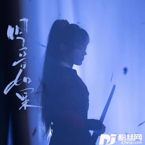 回音如果
