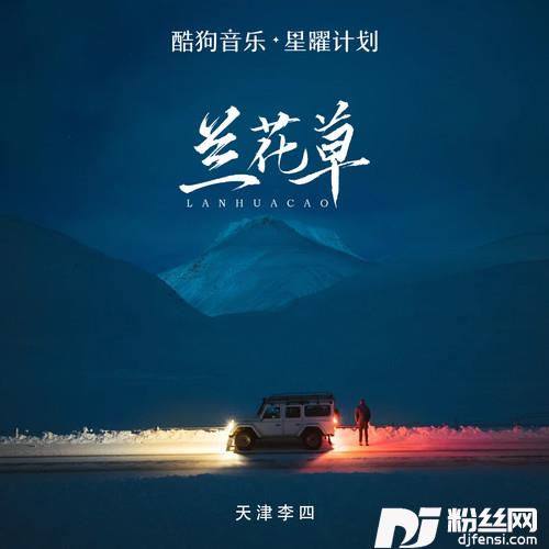 兰花草我从山中来