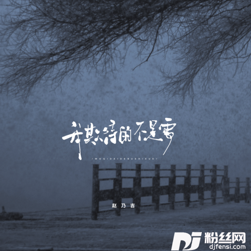 我期待的不是雪大雪版