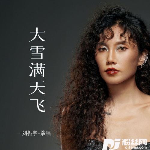 大雪满天飞的专辑
