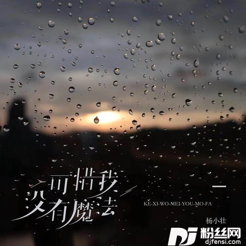 可惜我没有魔法