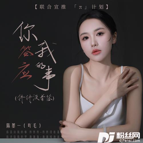 你答应我的事陕西话版的专辑
