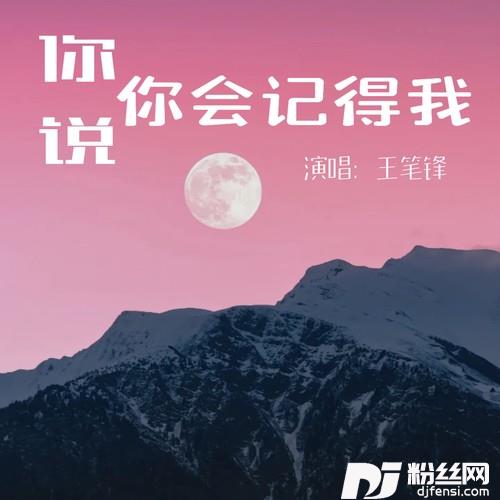 你说你会记得我的专辑
