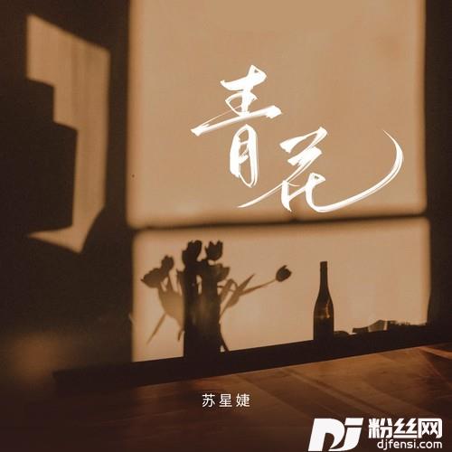 青花的专辑