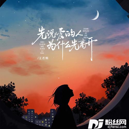先说爱的人为什么先离开DJ版的专辑
