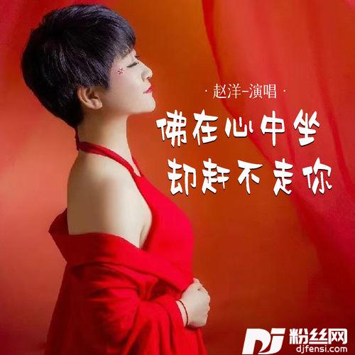 佛在心中坐却赶不走你的专辑
