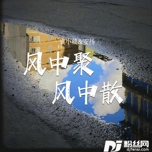 风中聚风中散