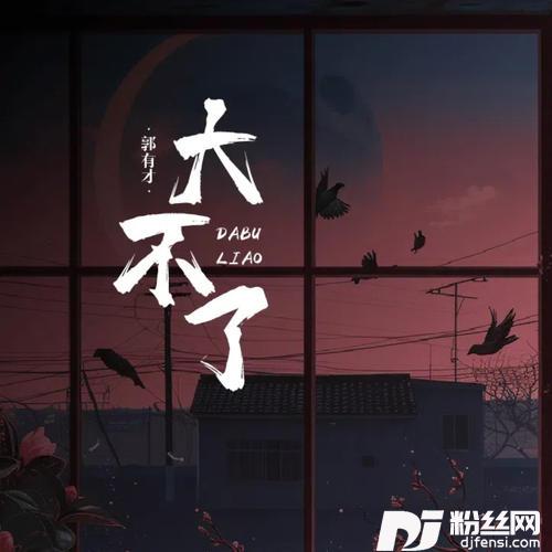 大不了DJ何友版的专辑