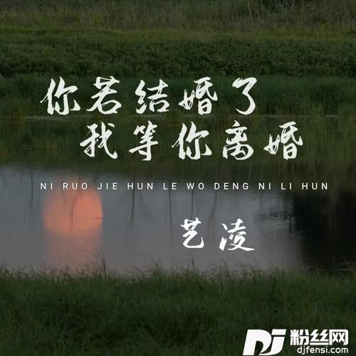 你若结婚了我等你离婚的专辑