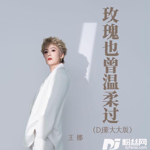 玫瑰也曾温柔过DJ豪大大版